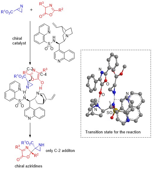 Asymmetric synthesis of Aziridine with a new catalyst can help develop novel medicines